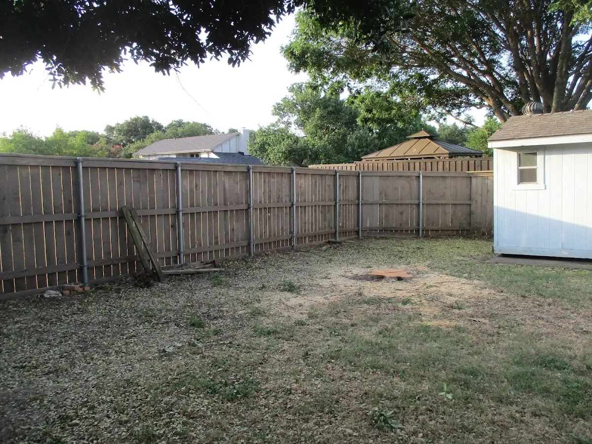 Cleared yard after professional tree removal in Mc Kean